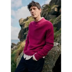 Fashion Seasalt Cornwall Men's Fitcher Knitted Jumper Cassis