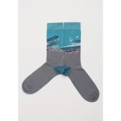 Hot Seasalt Cornwall Men's Postcard Socks Gulls Rock Peacock